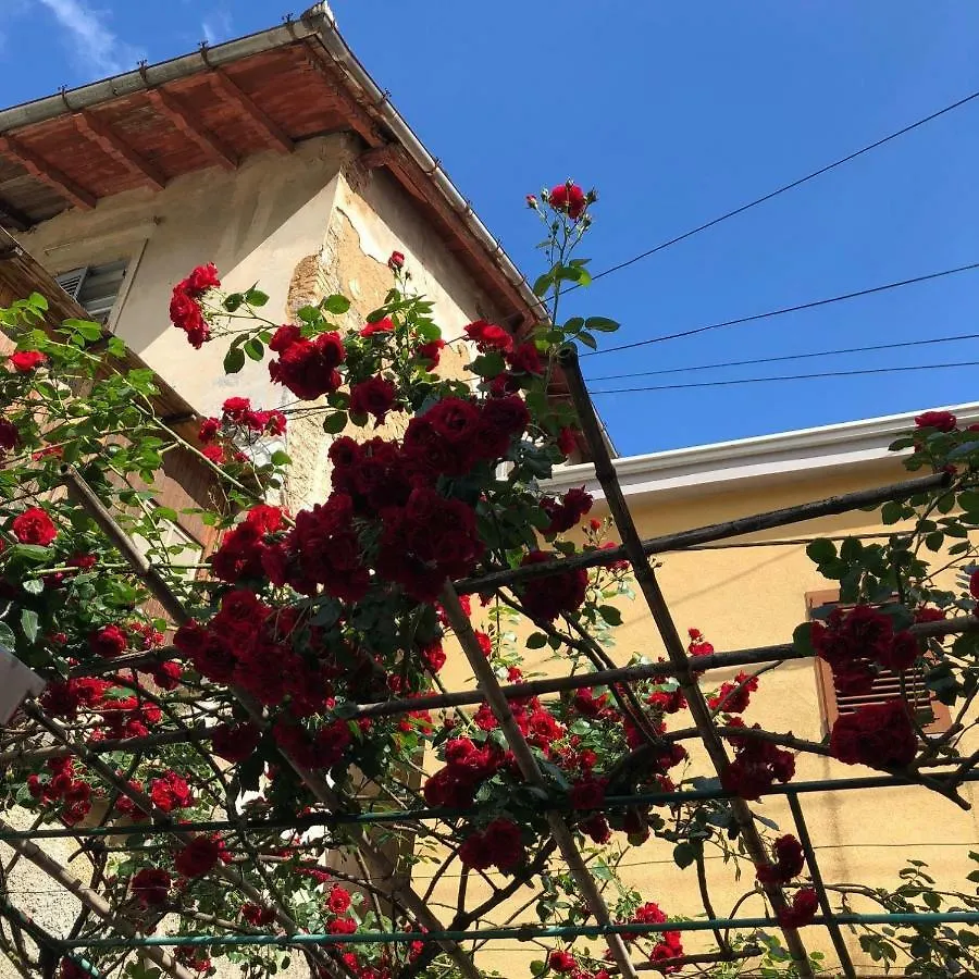 Apartmani Banina Ika