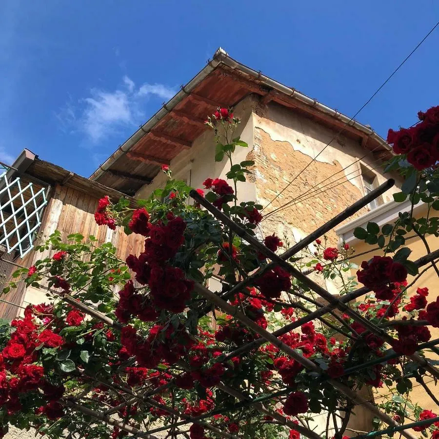 Apartmani Banina Ika Croatia