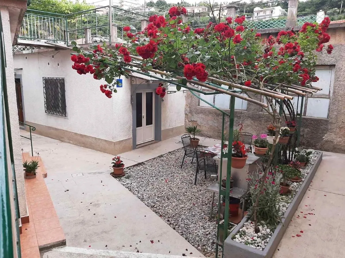 Apartmani Banina Ika 0*,  Croatia